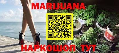 молекула духа Новозыбков
