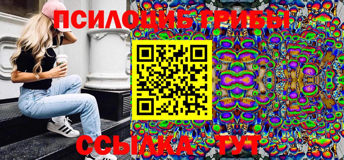 Хасавюрт  Псилоцибиновые грибы GOLDEN TEACHER  Галлюциногенные грибы Psilocybine cubensis  Вход с VPN 